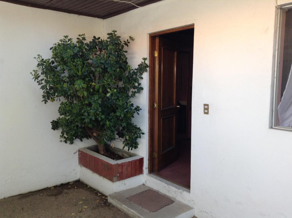 Hotel Alicante Chillán Exterior photo